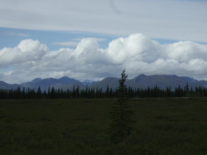 alaska045.JPG - Train ride to Denali.