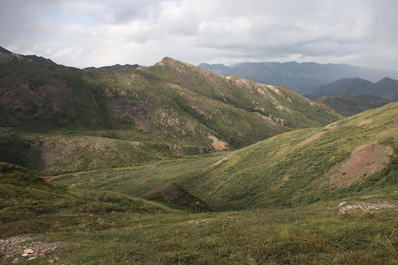 alaska251.JPG - Denali National Park