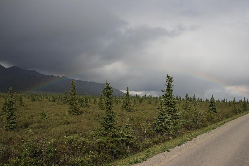 alaska254.JPG - Denali National Park.  Rainbow in Alaska.