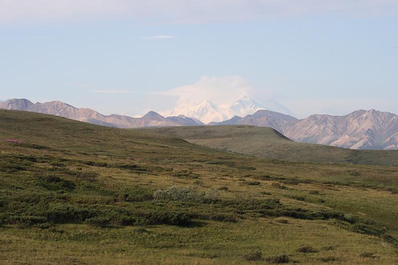 alaska335.JPG - The mountain IS out.