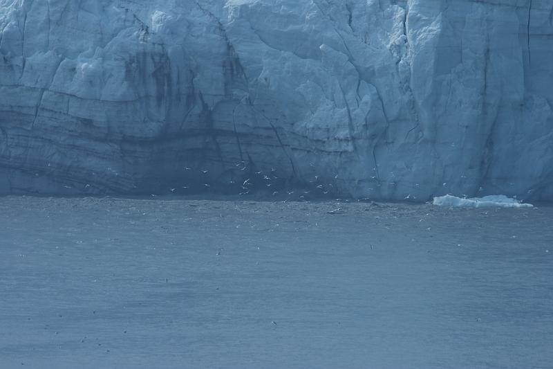 alaska577.JPG - Glacier Bay and the Margerie Glacier.