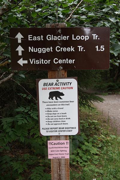 alaska697.JPG - Mendenhall glacier.  I can outrun L' if need be.