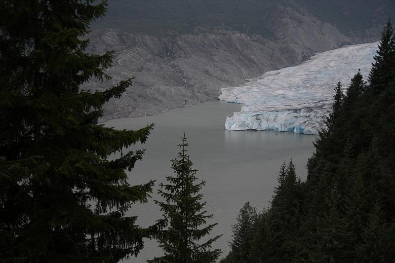 alaska710.JPG - Mendenhall glacier.