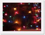 belize043 * Christmas lights inside Elvi's. * 1000 x 750 * (174KB)