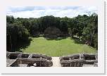belize128 * Caracol.  View from the tallest pyramid. * 1000 x 667 * (266KB)