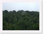 belize359 * Tikal. * 1000 x 750 * (156KB)