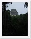belize362 * Tikal. * 750 x 1000 * (167KB)