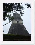 belize374 * Tikal. * 750 x 1000 * (229KB)