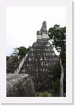 belize405 * Tikal. * 667 x 1000 * (202KB)
