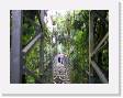CostaRica_96 * Day 2.  View of some of our tour members on one of the many hanging bridges. * 2592 x 1944 * (1.53MB)