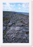 gbsi_703 * The Burren. * 800 x 1200 * (397KB)