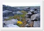gbsi_705 * The Burren. * 1200 x 800 * (383KB)