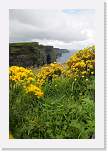 gbsi_720 * Cliffs of Moher. * 800 x 1200 * (360KB)