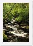 gbsi_826 * Ring of Kerry. * 800 x 1200 * (556KB)