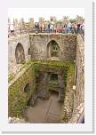 gbsi_849 * Views from Blarney Castle.  Line to kiss the stone. * 800 x 1200 * (478KB)