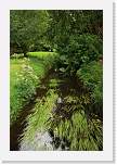 gbsi_857 * The gardens surrounding Blarney Castle. * 800 x 1200 * (581KB)
