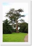 gbsi_863 * The gardens surrounding Blarney Castle. * 800 x 1200 * (370KB)