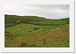 gbsi_319 * Hadrian's Wall.  Lots of sheep. * 1200 x 800 * (282KB)