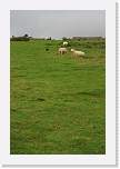 gbsi_329 * Hadrian's Wall. * 800 x 1200 * (300KB)