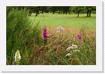gbsi_472 * Ballater, in the Scottish Highlands. * 1200 x 800 * (450KB)