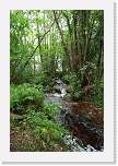 gbsi_494 * Loch Ness. * 800 x 1200 * (651KB)
