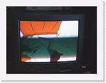 gbsi_543 * The Simpsons is on tv in Glasgow. * 1067 x 800 * (148KB)