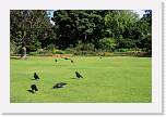 gbsi_052 * St. James Park. * 1200 x 800 * (556KB)