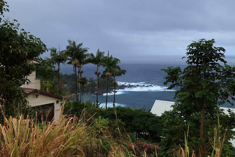 hawaii002.JPG - Day 1:  Laupahoehoe vista point.