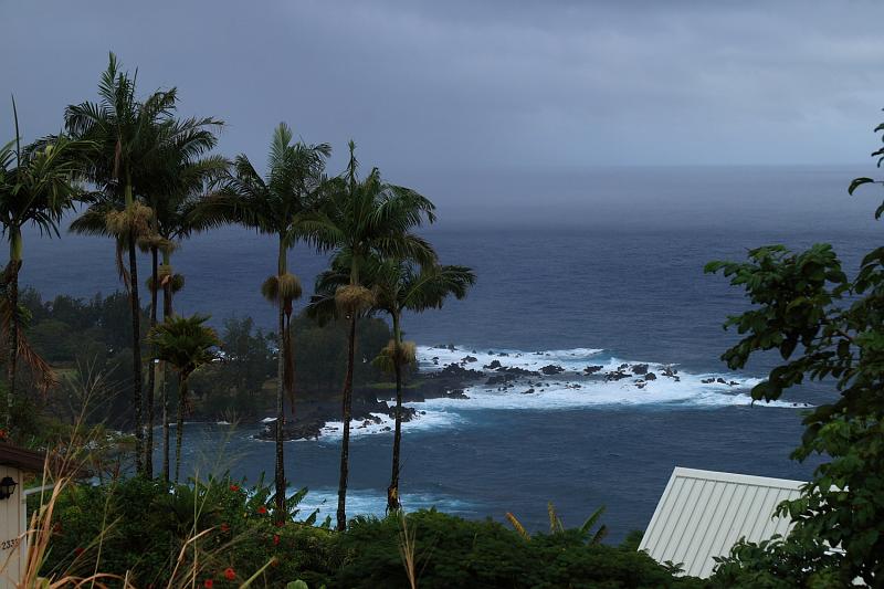 hawaii003.JPG - Day 1:  Laupahoehoe vista point.