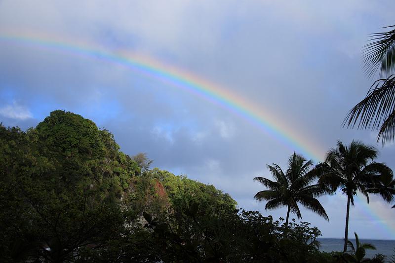 hawaii020.JPG - Day 1: Onomea Bay Scenic Route.  Rainbow Connecton.