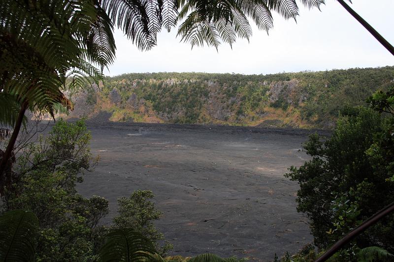hawaii049.JPG - Day 2:  Hawai'i Volcanoes National Park. The Kilauea Iki Crater.