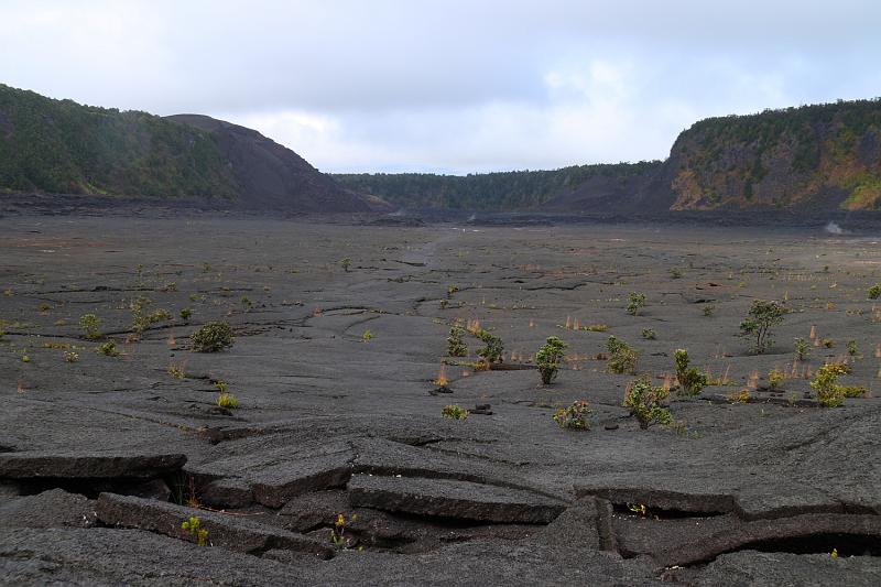 hawaii064.JPG - Day 2:  Hawai'i Volcanoes National Park. The Kilauea Iki Crater.