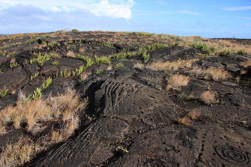 hawaii115.JPG - Day 2:  Hawai'i Volcanoes National Park.  Pu'u Loa petroglyphs.