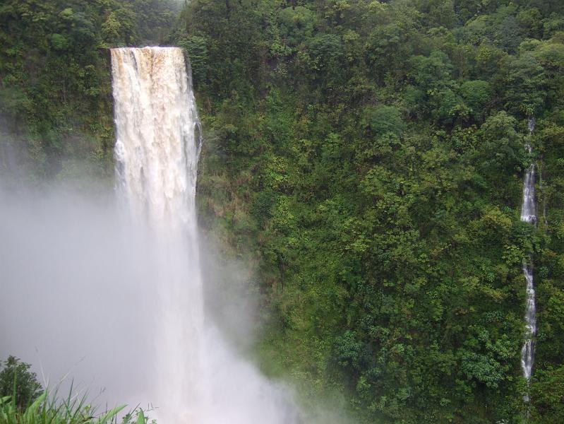 hawaii136.JPG - Day 3:  Akaka Falls.