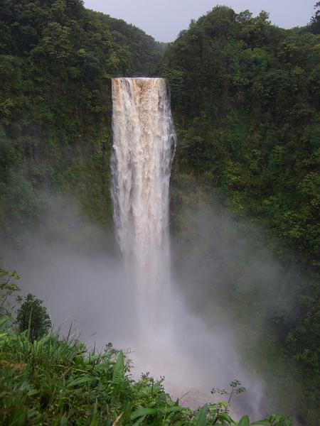 hawaii137.JPG - Day 3:  Akaka Falls.