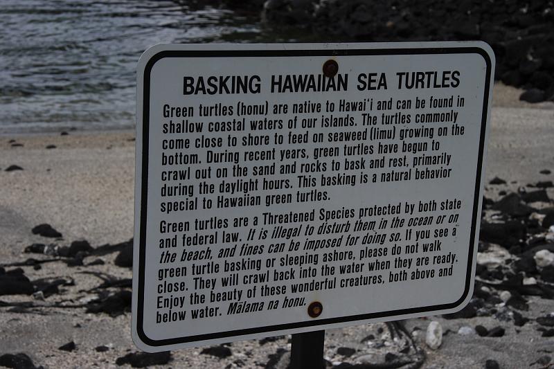 hawaii305.JPG - Day 5:  Pu’uhonua o Honaunau (Place of Refuge).  Sign about the sea turtles.