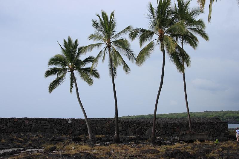 hawaii313.JPG - Day 5:  Pu’uhonua o Honaunau (Place of Refuge)