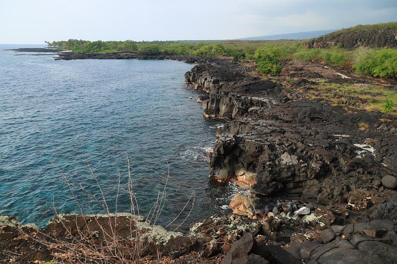 hawaii367.JPG - Day 5:  Along the 1871 trail that runs along the coast.