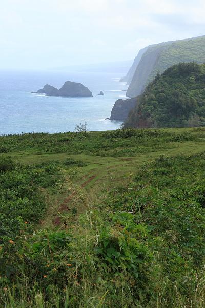 hawaii412.JPG - Day 6:  Pol'olu Lookout and trail.