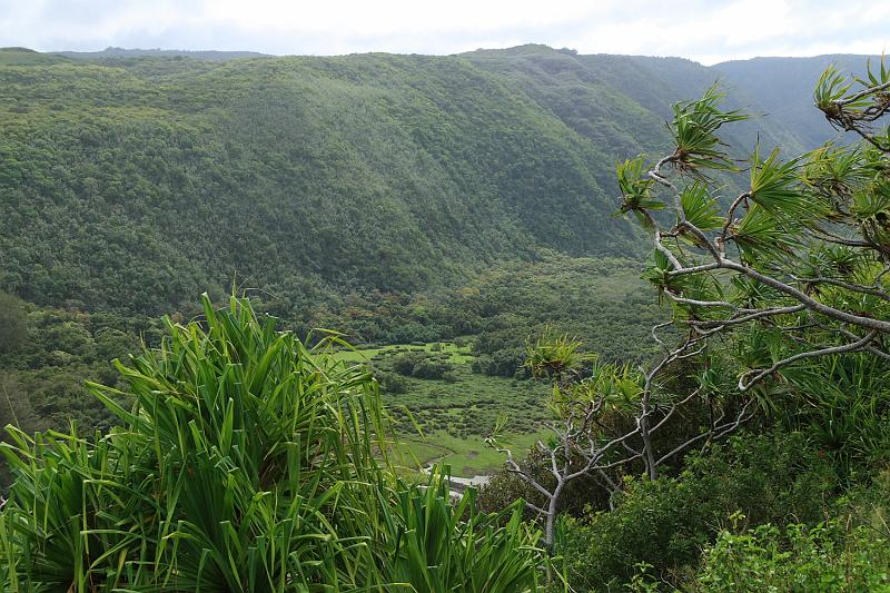 hawaii418.JPG - Day 6:  Pol'olu Valley.