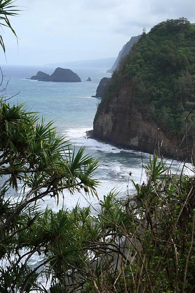 hawaii420.JPG - Day 6:  Pol'olu Lookout and trail.