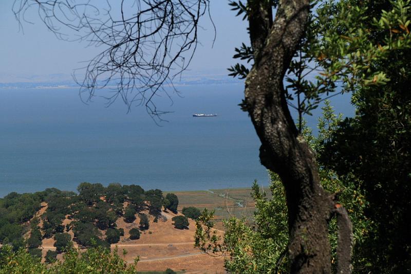 marin036.JPG - China Camp State Park, view of San Pablo Bay (connects to SF Bay).