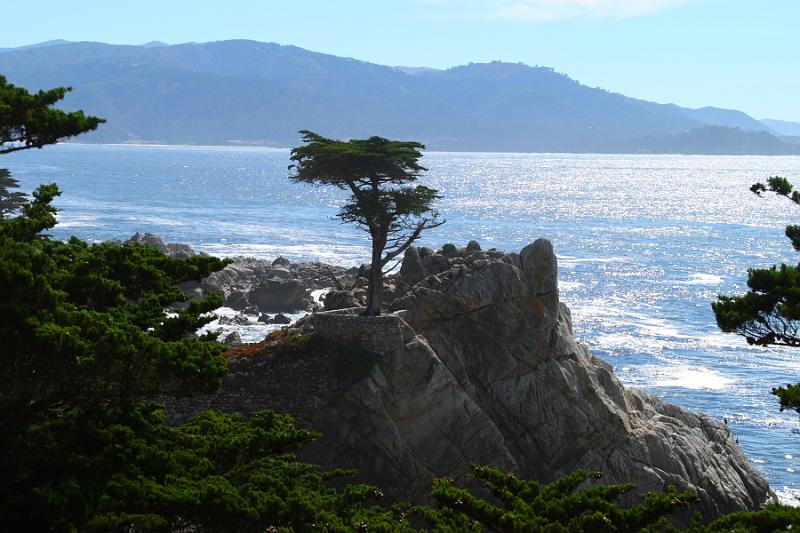 Monterey123.JPG - The Pebble Beach Lone Cypress.