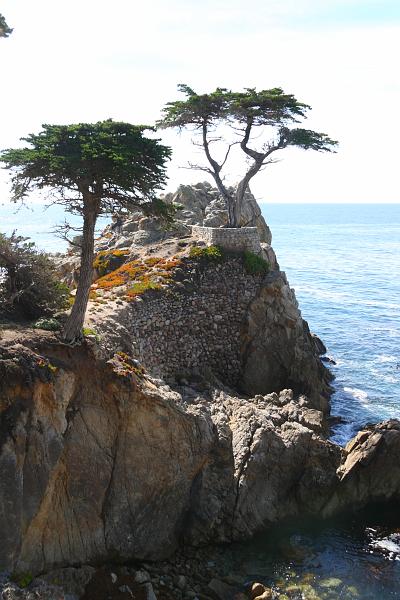 Monterey138.JPG - As Lonely Planet says, it looks too perfect.
