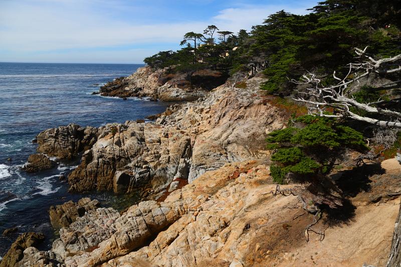 Monterey141.JPG - Moving along on the drive.  We've found a couple inexpensive homes in case anyone wants to surprise us.