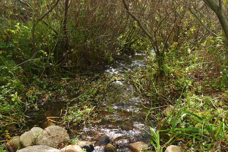Monterey269.JPG - Garrapata State Park.  Walking along the creek.