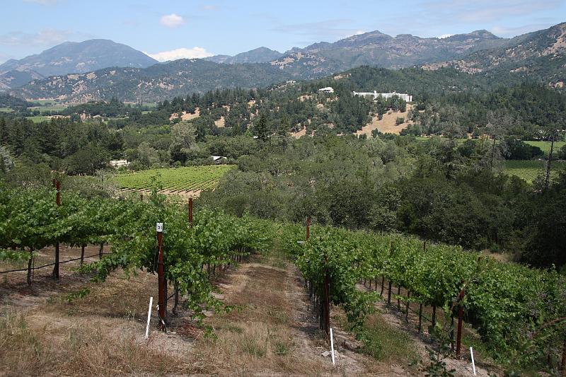 napa59.JPG - View from below the tower.