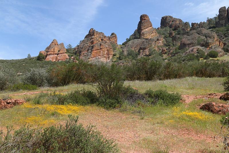 pinnacles030.JPG - Pinnacles.  Wildflowers are out in bloom.