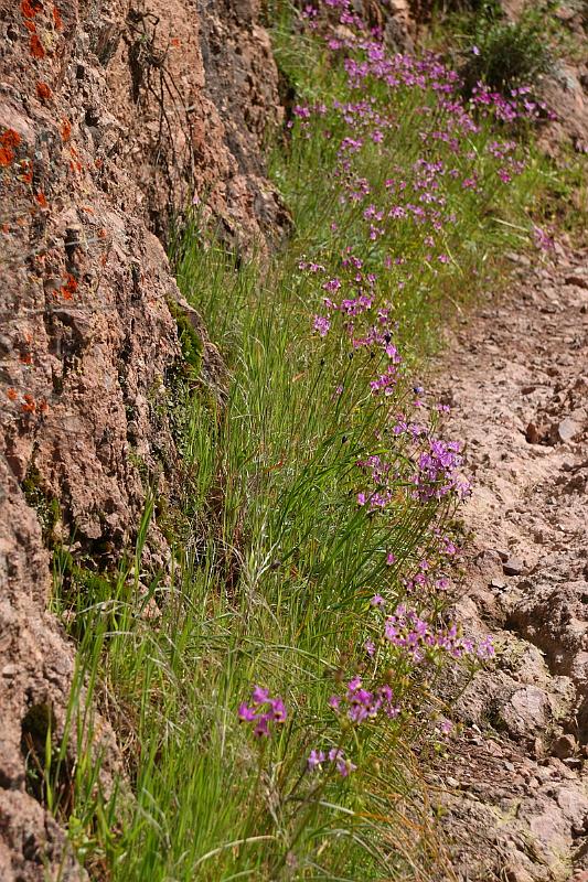 pinnacles118.JPG - Pinnacles.