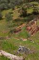 pinnacles024